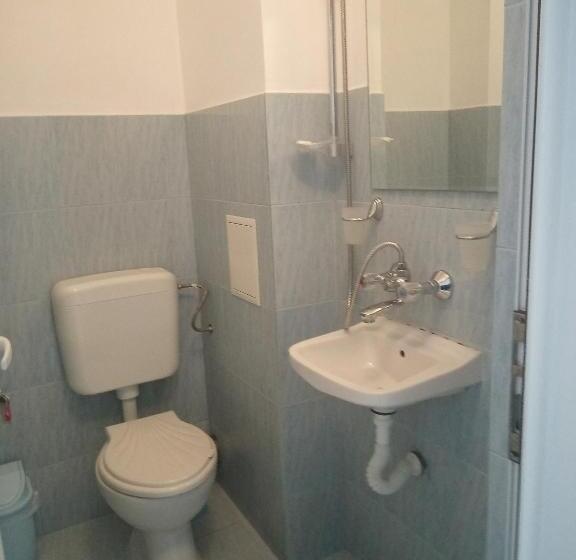 غرفة قياسية مع حمام خارجي, Despina