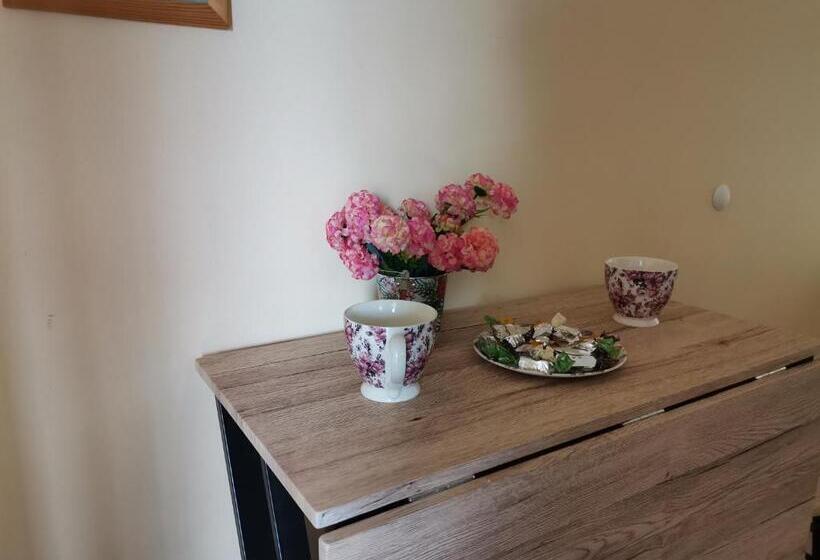 패밀리 스위트, Guest House 51