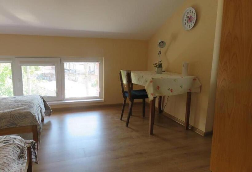 침실 1개 바다 전망 아파트, Guest House 51