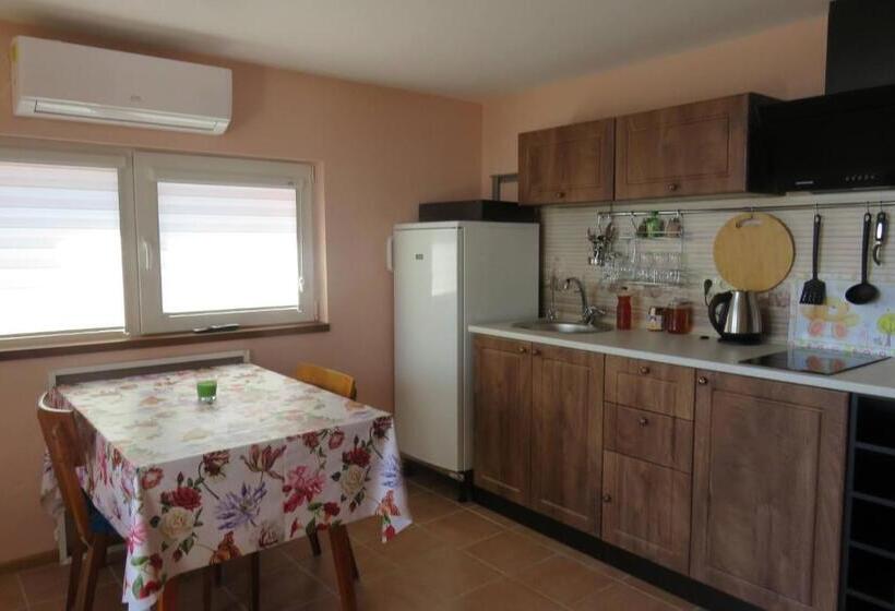 침실 1개 바다 전망 아파트, Guest House 51