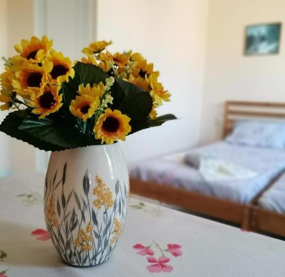 스탠다드 룸, Guest House 51