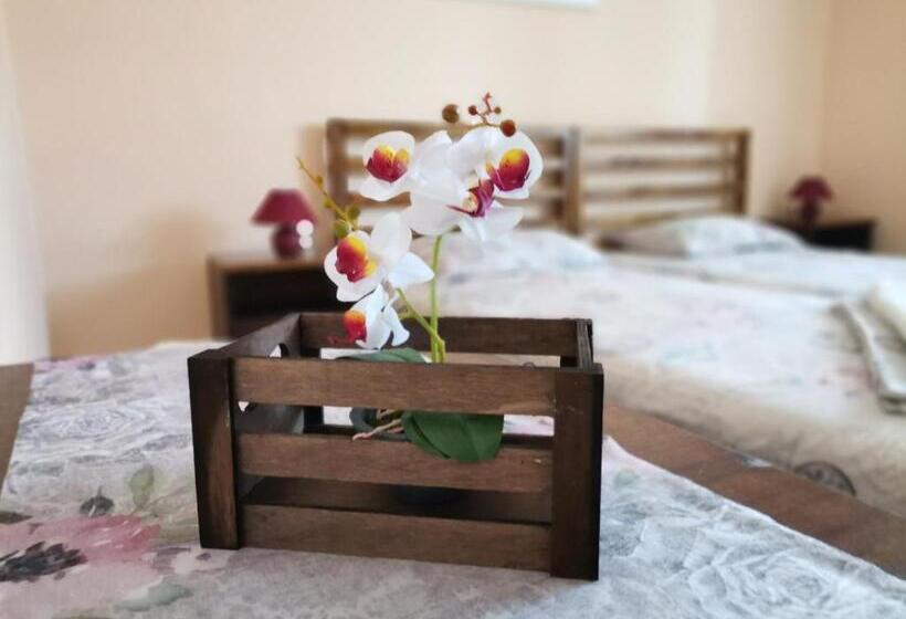 패밀리 스위트, Guest House 51