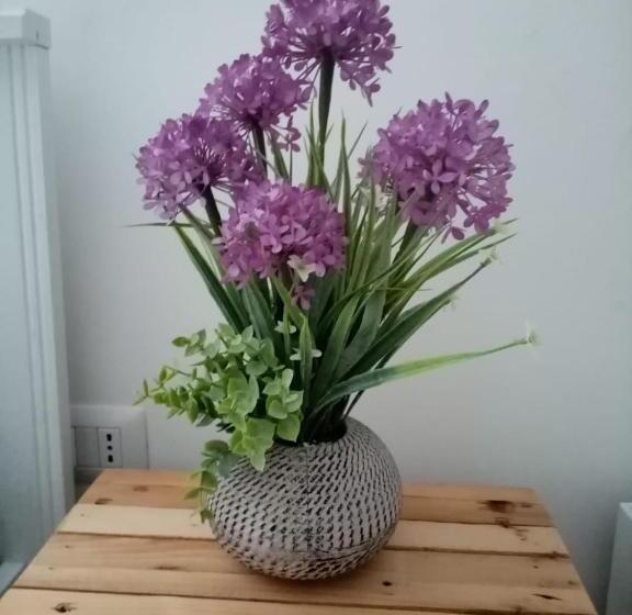 חדר סטנדרט, I Nidi Di Colombo