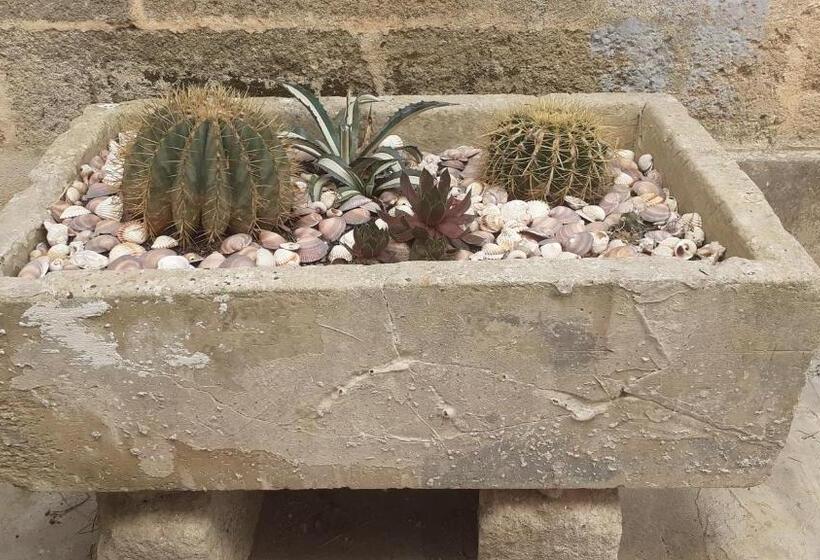 דירת חדר, I Nidi Di Colombo