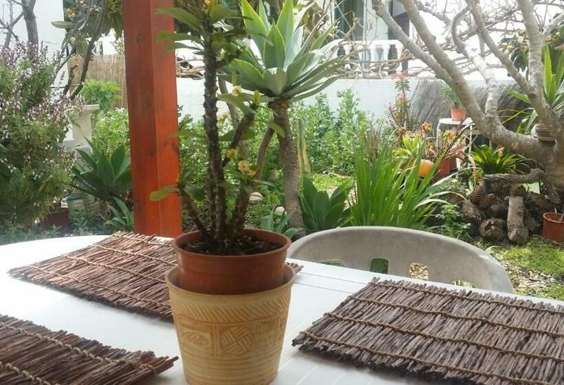 Quarto Estandar Vista Jardim, Lemon Tree Relaxing Guesthouse