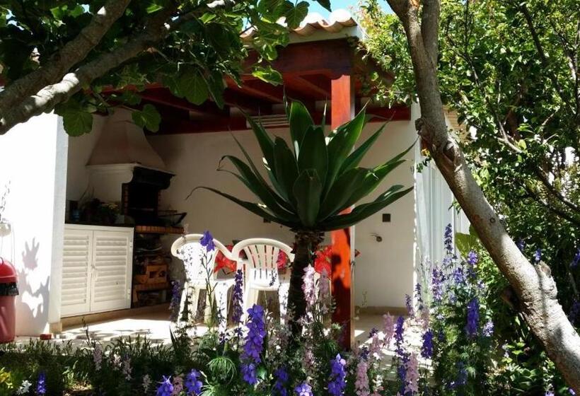 Quarto Economy, Lemon Tree Relaxing Guesthouse