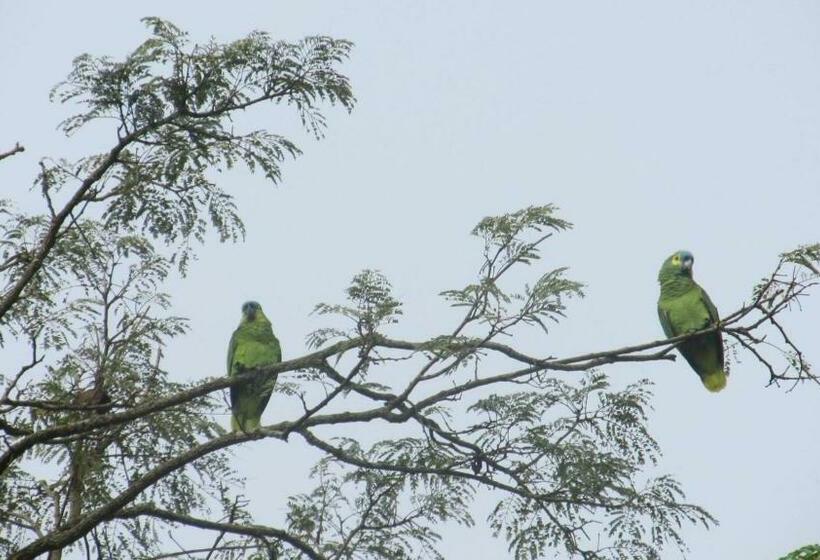 منزل غرفة نوم واحدة, Pouso Do Elefante