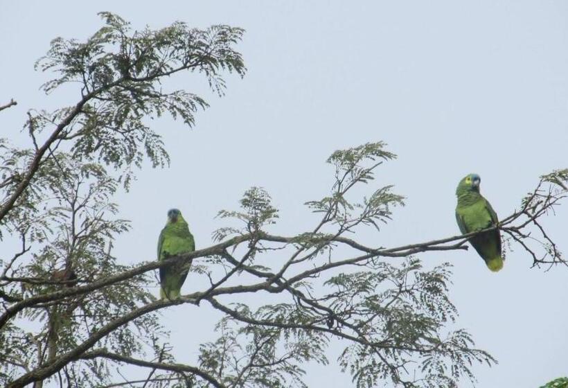 شقة غرفة نوم واحدة مزودة بشُرفة, Pouso Do Elefante