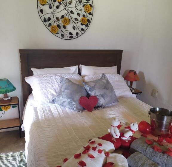 شقة غرفة واحدة ذات إطلالة, Pouso Do Elefante