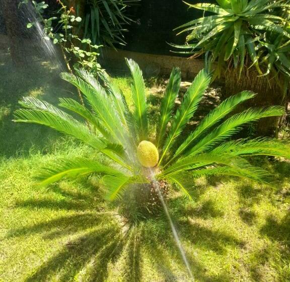 Номер Стандарт, Casa Vacanzeil Bouganville