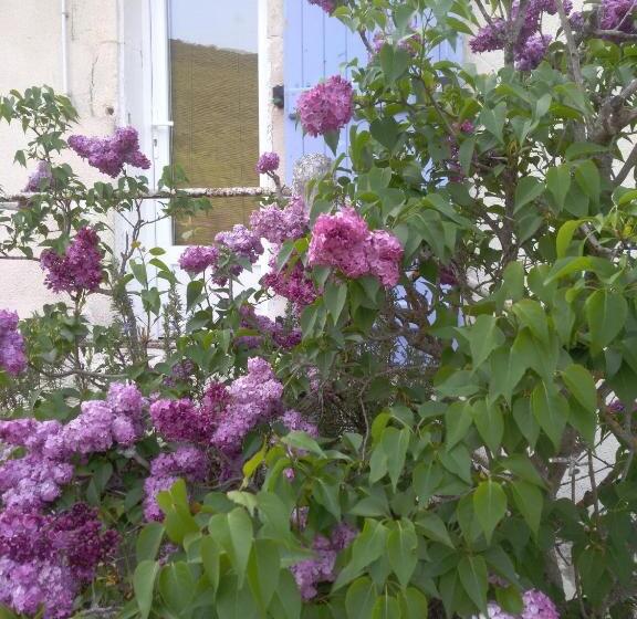 스탠다드 트리플 룸, Chambre D Hôtes Lou Couradou