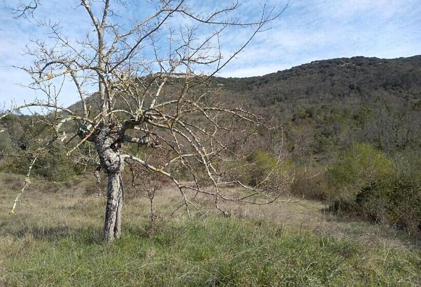 스탠다드 트리플 룸, Chambre D Hôtes Lou Couradou