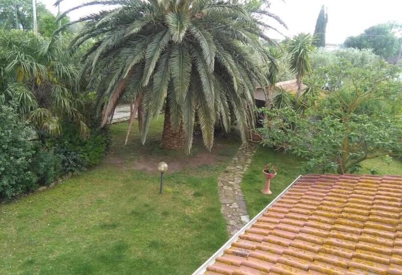 １ベッドルームアパートメント, La Palma