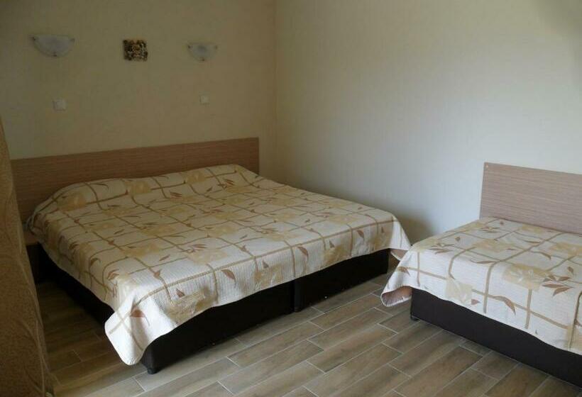 חדר סטנדרט לשלושה עם מרפסת, Altay Guest House