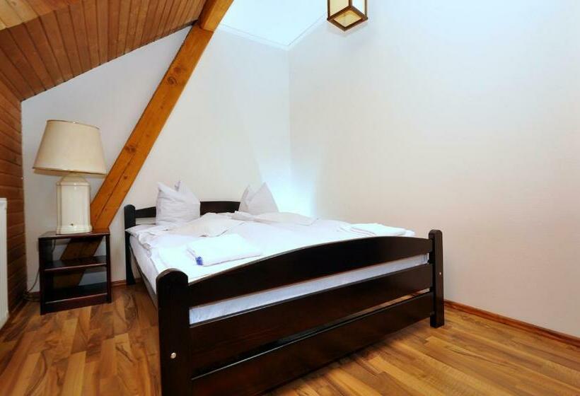 חדר סטנדרט, Pensiunea Denisa