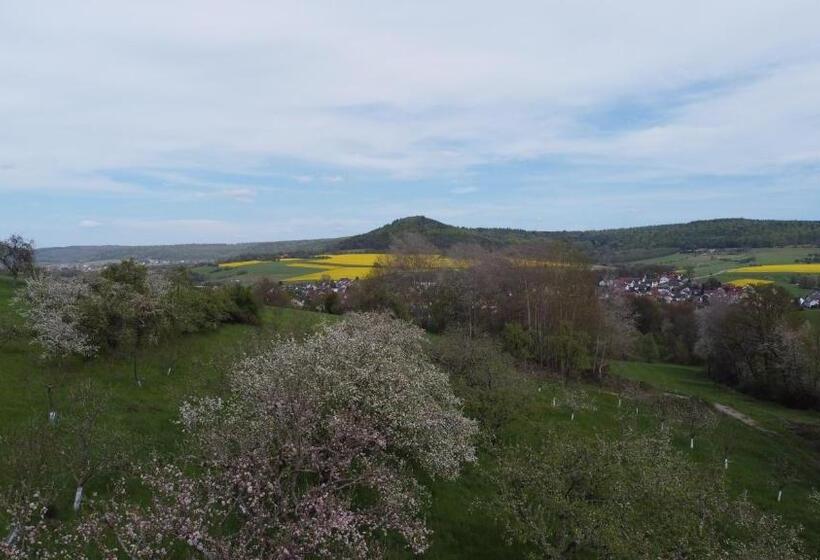 Апартаменты 1 Спальня, Hofgut Langenborn Wohnen Auf Zeit Möblierte Apartments Aschaffenburg Alzenau Frankfurt
