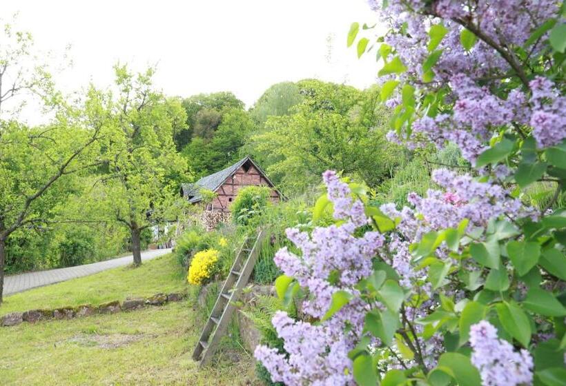 Апартаменты 1 Спальня, Hofgut Langenborn Wohnen Auf Zeit Möblierte Apartments Aschaffenburg Alzenau Frankfurt