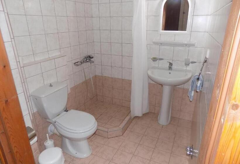 标准工作室, Des Roses