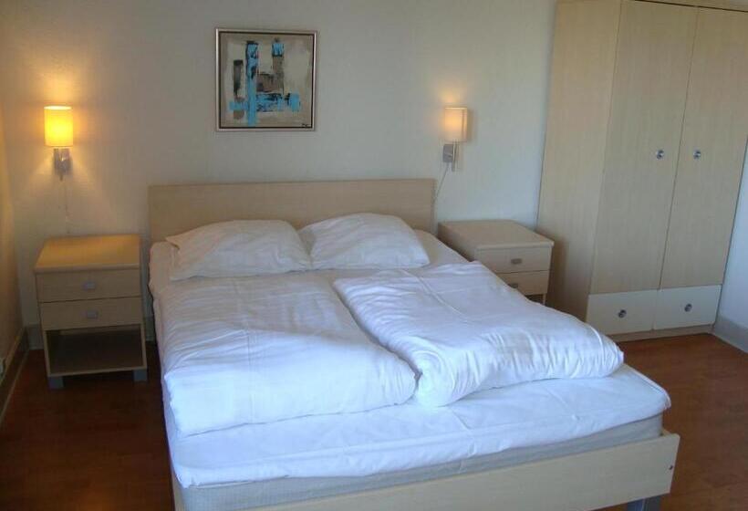 スタンダードルーム, Falken