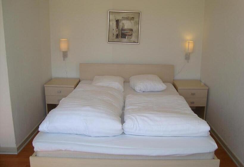 スタンダードルーム, Falken