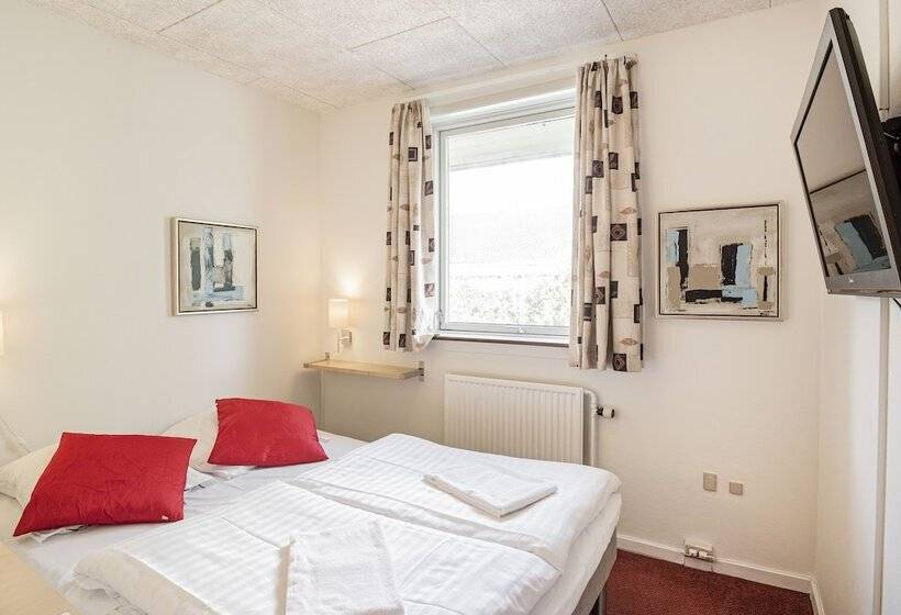 エコノミールーム, Falken