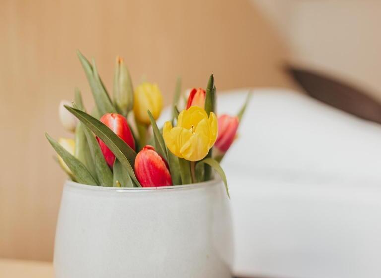 标准单人间, Gutsschänke Holsterfeld