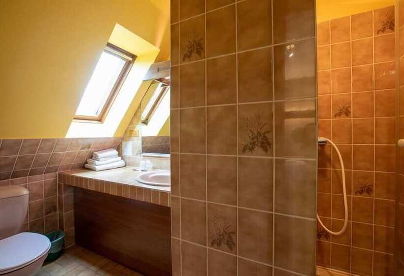 غرفة قياسية فردية, Hôtel Restaurant Et Spa Au Tilleul