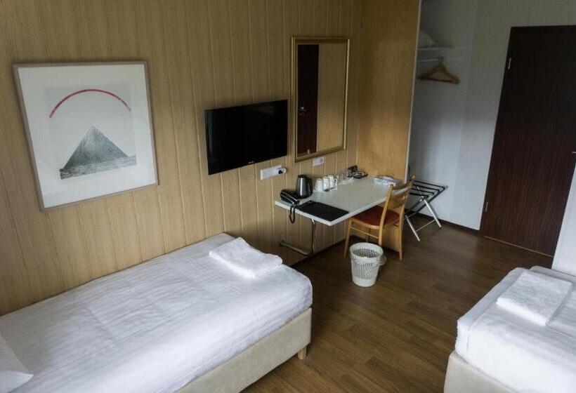 اتاق استاندارد سه نفره, Skaftafell