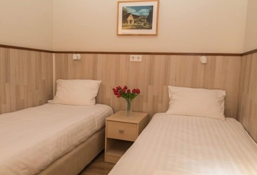 اتاق استاندارد سه نفره, Skaftafell