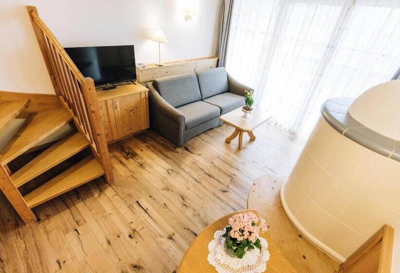 סוויטה, Tenz 2025