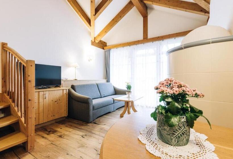 סוויטה, Tenz 2025