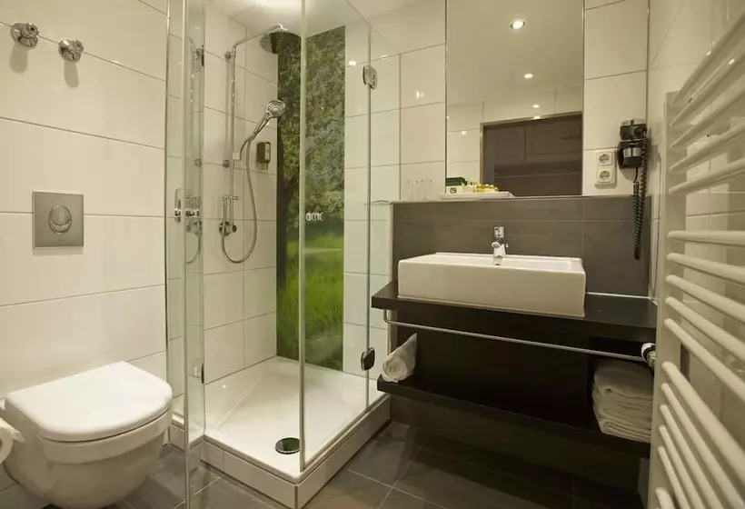اتاق لوکس, Landhotel Weißes Roß
