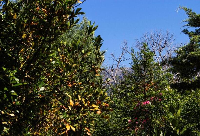 חדר סטודיו סטנדרד, Nireas Resort Corfu