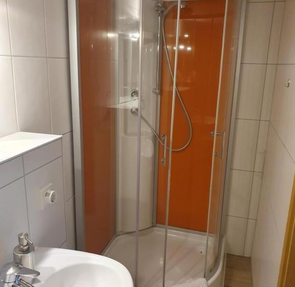 スタンダードシングルルーム, Brauner Hirsch