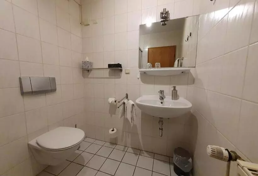 Standard-huone, Brauner Hirsch