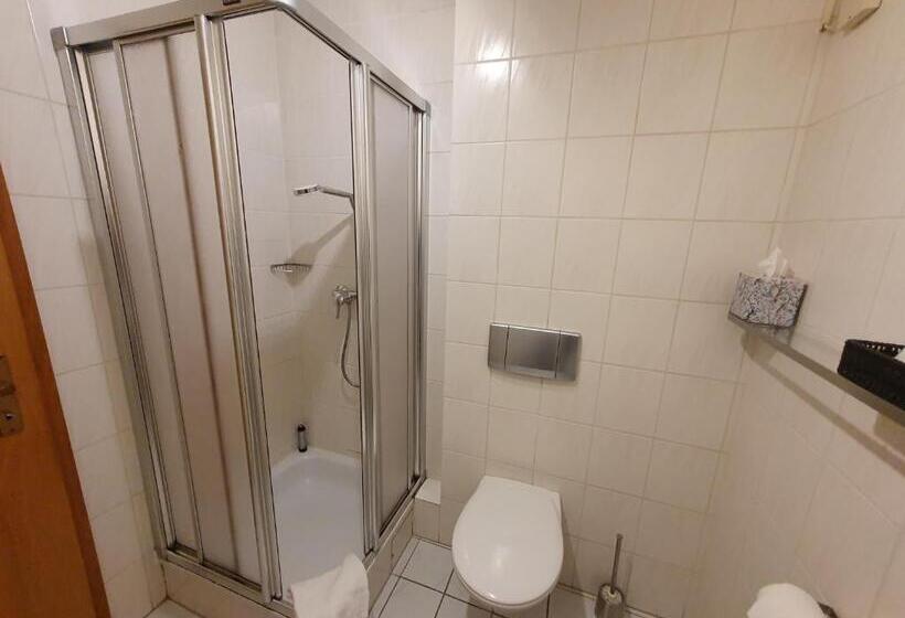 スタンダードルーム, Brauner Hirsch