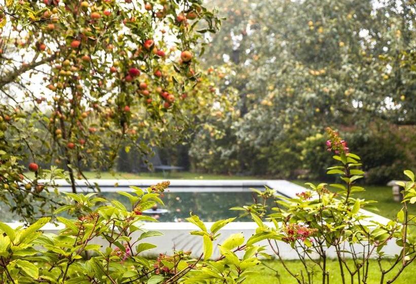 חדר דלוקס נוף לגינה, Reck S Hotel Restaurant