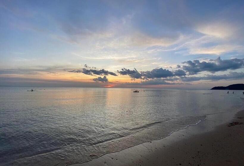 Bungalow Sandard, Pooma Resort