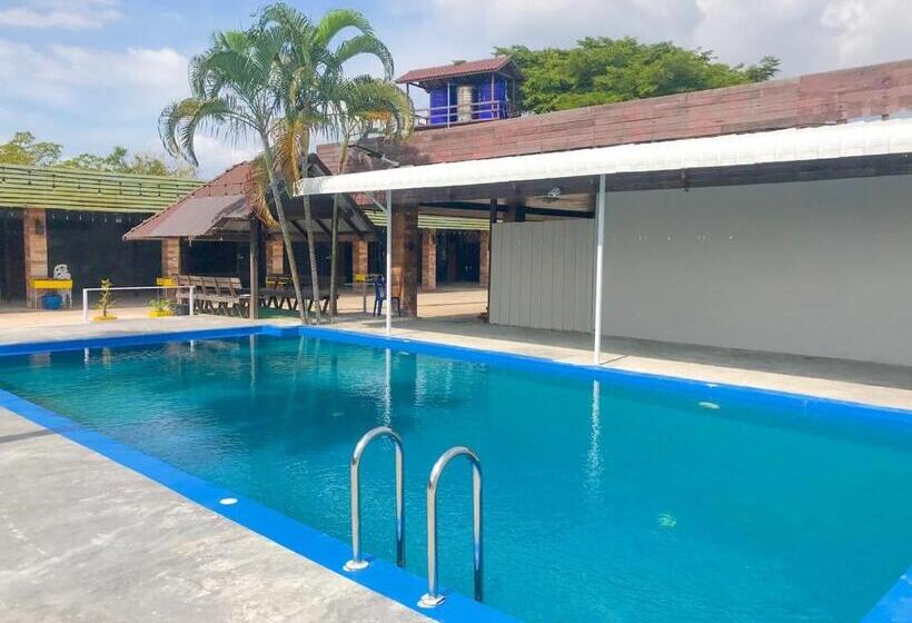 Quarto Quadruple Economy, Pooma Resort