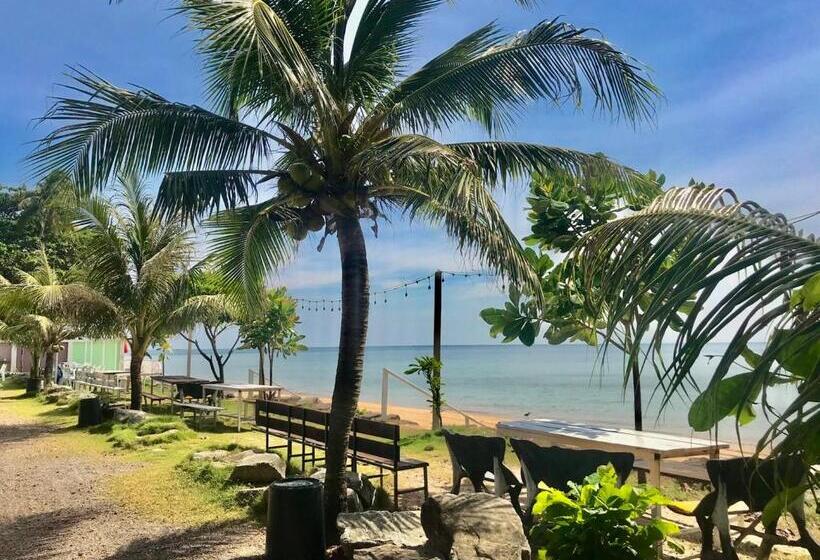 Bungalow Standart Vista Mar, Pooma Resort