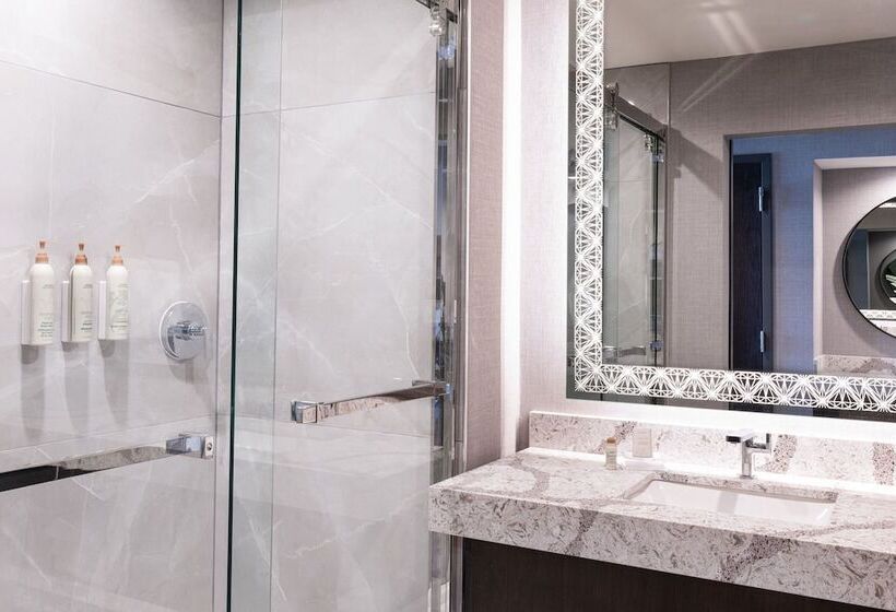 Номер Deluxe Вид на Город, Renaissance Oklahoma City Downtown Bricktown