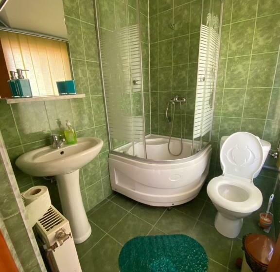 اتاق استاندارد, La Coco Bușteni