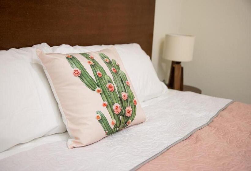 침실 1개 디럭스 아파트, Casa Jima Agave