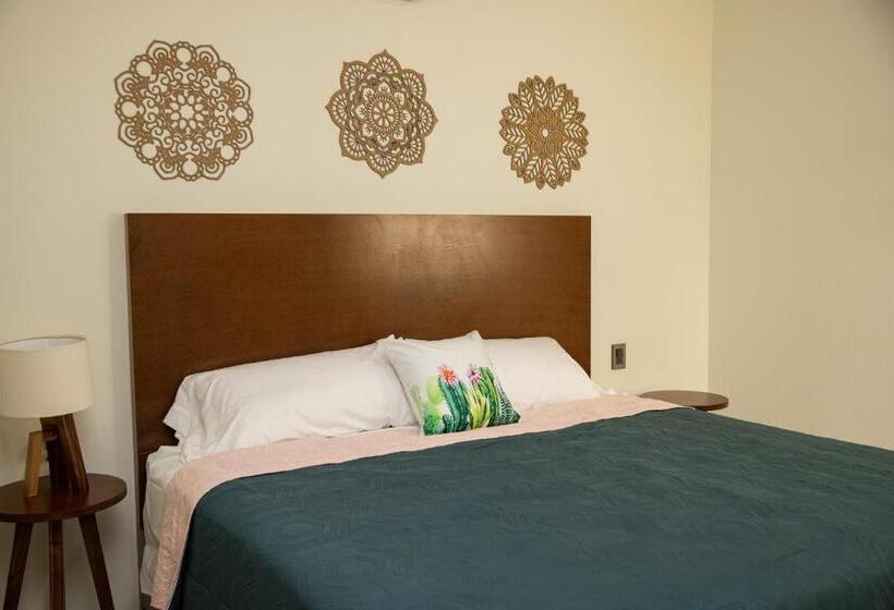 패밀리 스튜디오, Casa Jima Agave