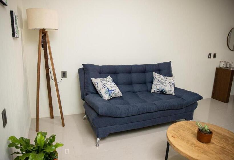 패밀리 스튜디오, Casa Jima Agave