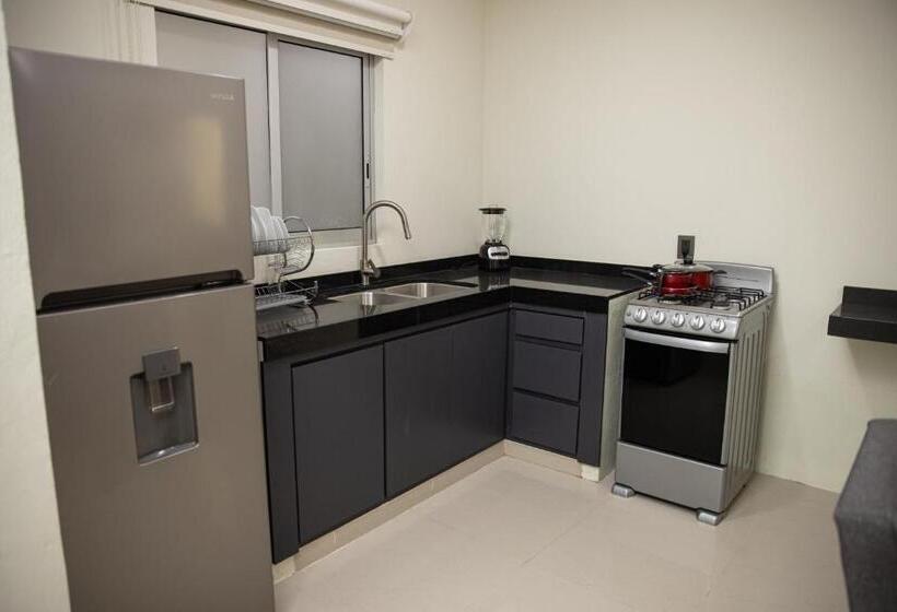 패밀리 스튜디오, Casa Jima Agave