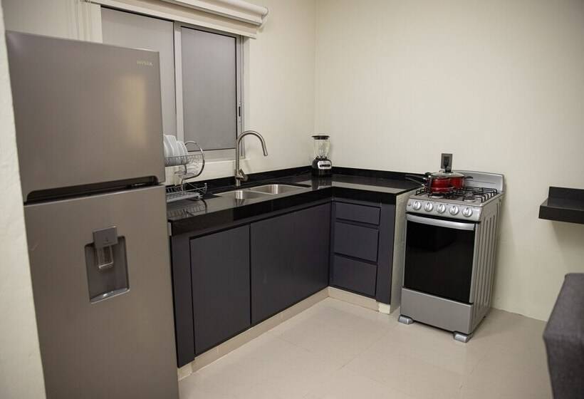 패밀리 스튜디오, Casa Jima Agave