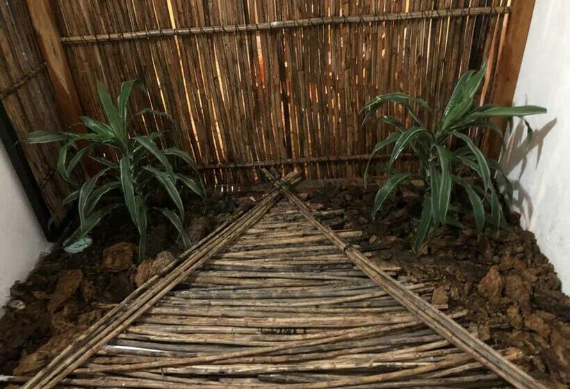 חדר סטנדרט לארבעה, Hostal Casa En La Ciénaga