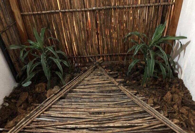 חדר סטנדרט עם טרסה, Hostal Casa En La Ciénaga