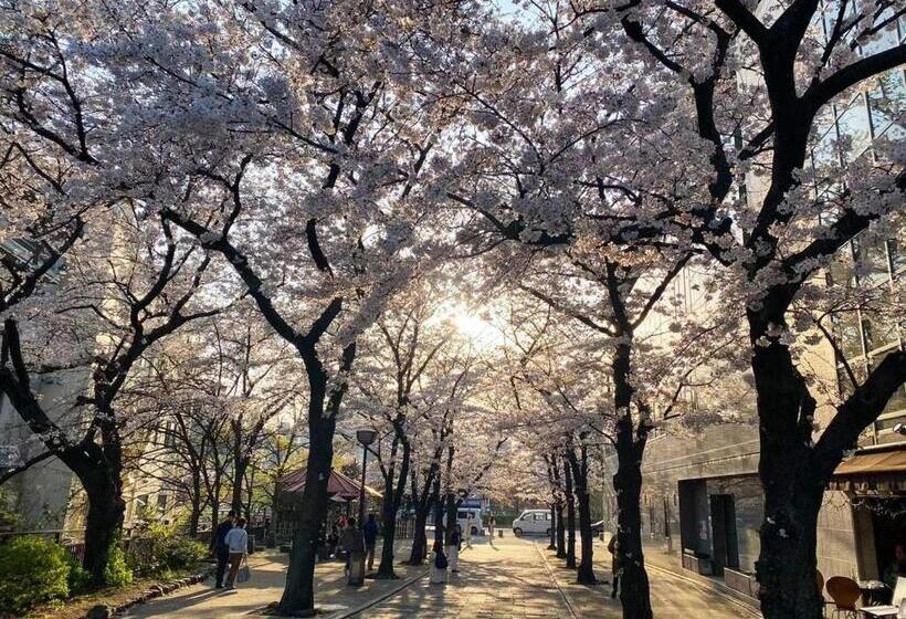 Номер Стандарт, Rinn Gion Shirakawa